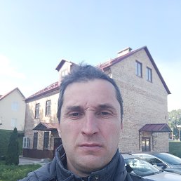 , 41, 