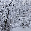 ���� �������, ������� - ��������� 26 ������� 2025 � ������ ������ ��������