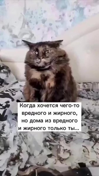   - 4  2025  12:47