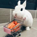 ���� ����, ������ - ��������� 1 ���� 2026 � ������ ������ ��������
