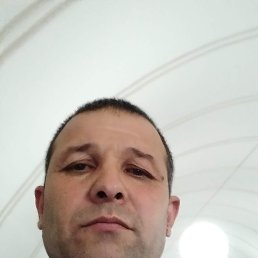 , 49, -