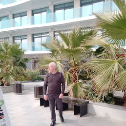  , 65, 