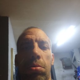 ������ ���������, 41 ���, ����������