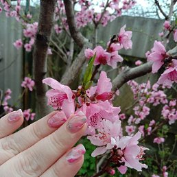 ���� �����, ������������, 52 ���� - ��������� 2 ������ 2025