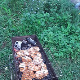 �������, ������, 41 ���