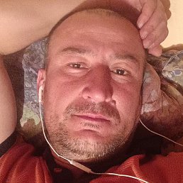 ����, ������, 41 ���