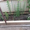 ���� �������, ������� - ��������� 20 ������� 2023 � ������ ����