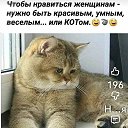 ���� �������, ����-������ - ��������� 7 ������ 2026 � ������ ���� ����������