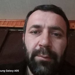 ������, ���������, 43 ����