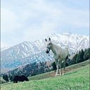 ���� Abdunazir, �����������, 51 ��� - ��������� 23 ������ 2025 � ������ ���� ����������