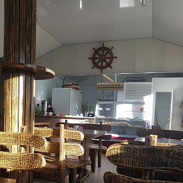 �����, ������, 37 ���