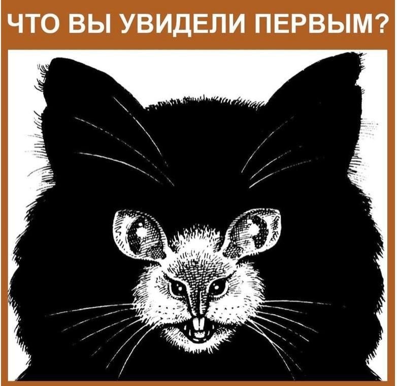 ��������������� ����! �������, ��� ���� ��� � �������. �� ������������, ������ ���������� ��������. ...