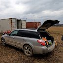 ���� ������, ������ - ��������� 19 ������ 2026 � ������ �2026 ���.�