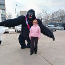 ���� ���, �������, 33 ���� - ��������� 28 ����� 2026 � ������ ������ ��������