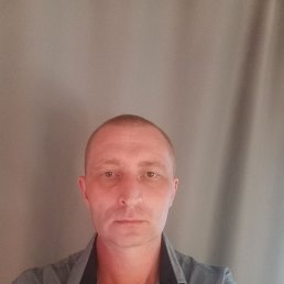  , 41 , 
