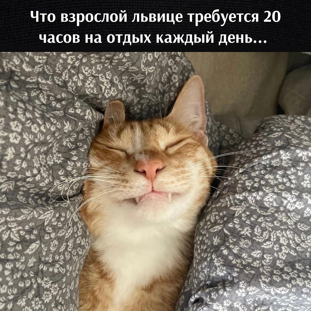 ��� ���� � ����� �� �� - 8 ���� 2026 � 11:25 - 2
