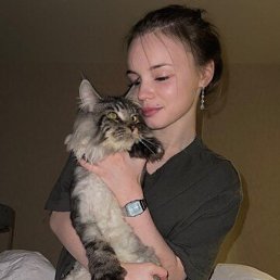 �����, ������������, 23 ����