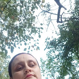 , 38, 