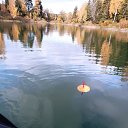 ���� ������, �����, 41 ��� - ��������� 17 ������ 2024 � ������ ���� ����������