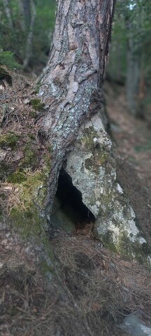 ���� ���������, ����������, 34 ���� - ��������� 28 ������ 2024