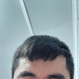 Roma, , 26 