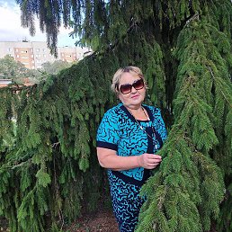 ������, �����, 58 ���