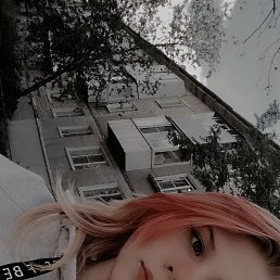 ����, ������ ��������, 20 ���