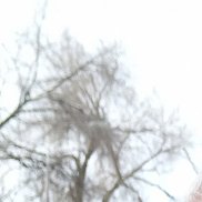 �����, 49 ���, ������-���