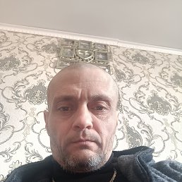 , 41, 