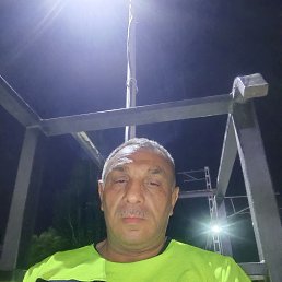 , 52, 