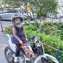 ���� �������, �����������, 36 ��� - ��������� 22 ���� 2026 � ������ ���� ����������