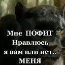 ���� ��������*****, ������ - ��������� 10 ������� 2024 � ������ ������ ��������