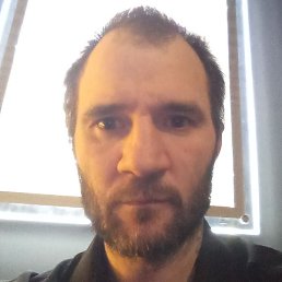 �������, ���, 41 ���