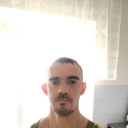 �����, �������, 36 ���