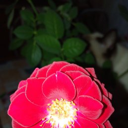 ���� �������, �����-���������, 68 ��� - ��������� 5 ������� 2023