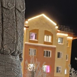 �������, ������, 50 ���