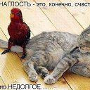 ���� �����, ������� - ��������� 29 ����� 2025 � ������ ���� ����������