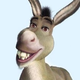 ������, ������, 23 ����