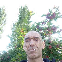  , 38, 