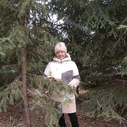 �����, ��������