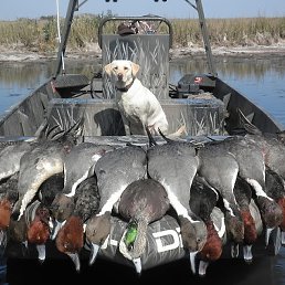 ������, ��������, 57 ���