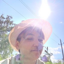 , 37, 