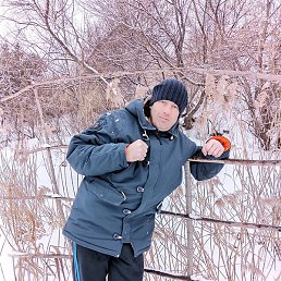 ������� �������, ������, 41 ���