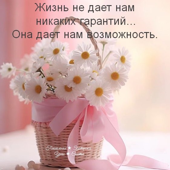 �������� ������ - 11 ���� 2026 � 13:45