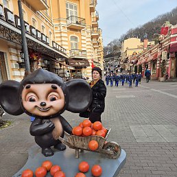 �������, ������, 56 ���