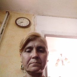 ���� ����, ������, 50 ��� - ��������� 29 ������� 2026