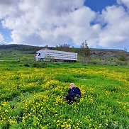 OMAR, 68 ���, �������