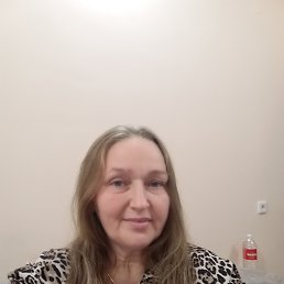 ���� ����������, ���������, 54 ���� - ��������� 13 ������� 2026