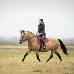 ���� �����, �����-���������, 36 ��� - ��������� 15 ������� 2024