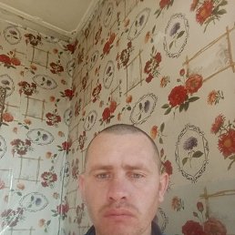 , 32, 